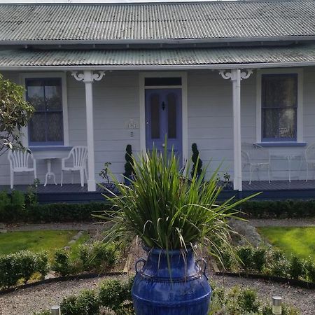 Lavender Cottage Greytown Dış mekan fotoğraf