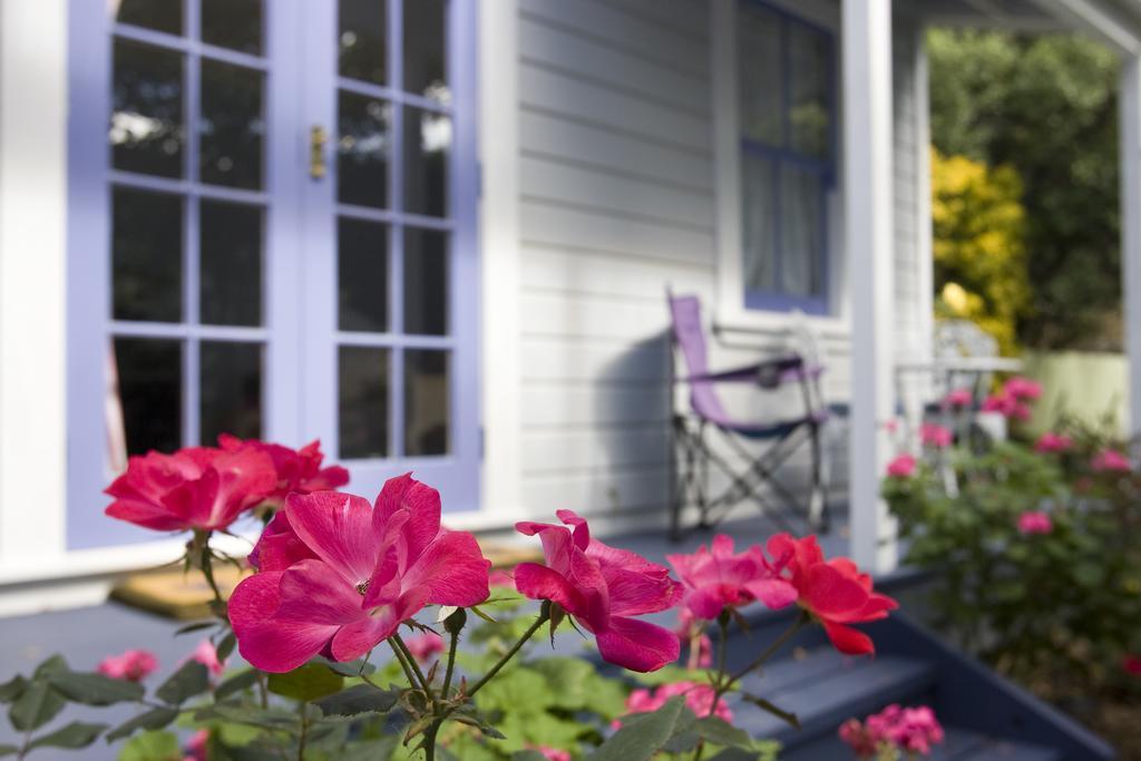 Lavender Cottage Greytown Dış mekan fotoğraf