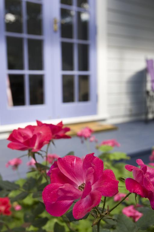 Lavender Cottage Greytown Dış mekan fotoğraf